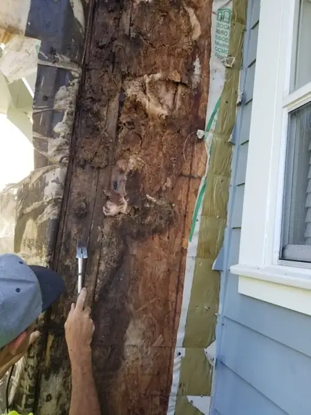 Rotted sill plate found behind the siding
